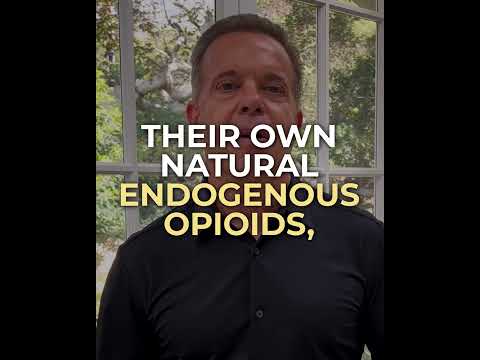 Ep 04 | The Science of the Mystical: Your Inner Pharmacy #science #meditation #drjoedispenza