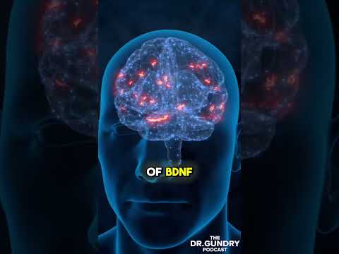 🦁 Mushrooms are FERTILIZER for Your Neurons! | Dr. Gundry on Lion’s Mane for Brain Health