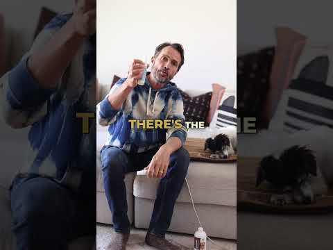 The Secret to a Happy, Healthy Pup