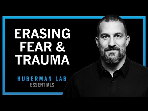 Erasing Fears & Traumas Using Modern Neuroscience | Huberman Lab Essentials