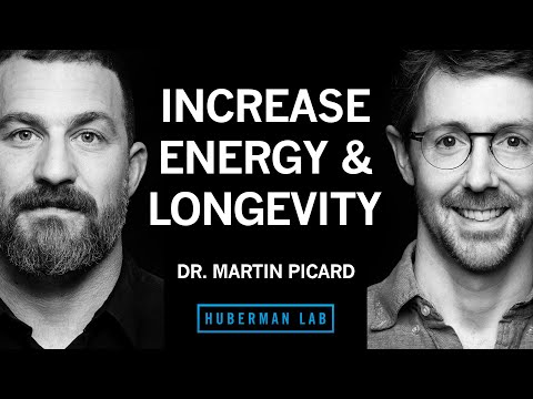 Improve Energy & Longevity by Optimizing Mitochondria | Dr. Martin Picard