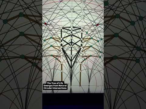 The TREE OF LIFE FOUND IN CIRCULAR INTERSECTIONS