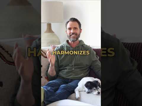 Quantum Upgrade: EMF Harmonized for Your Home