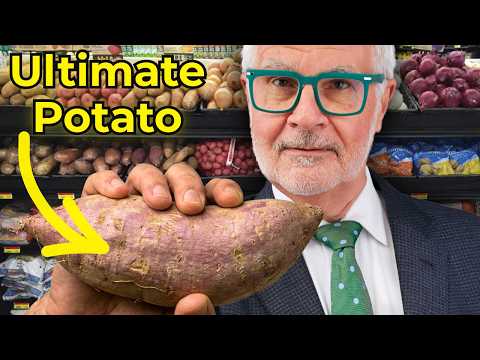 Most Potatoes Can Wreak Havoc On Your Gut, That’s Why I Only Recomend THIS!