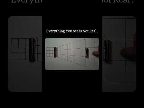 How illusions and geometry reveal a mind-projected reality