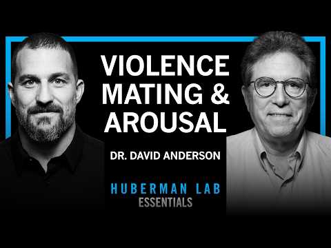 Essentials: The Biology of Aggression, Mating & Arousal | Dr. David Anderson