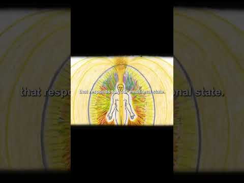 The Harmonic Field Behind Reality