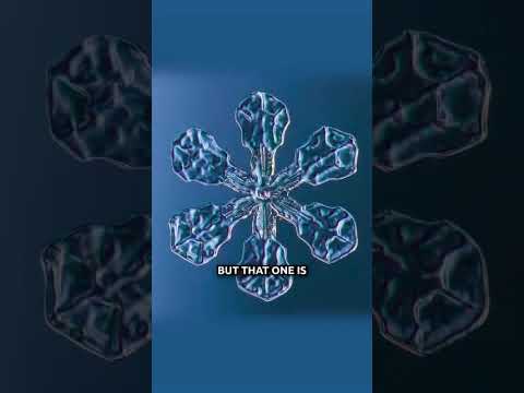 Fractals Reveal the Architecture of Reality