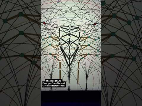 The Tree of Life Emerges From Number