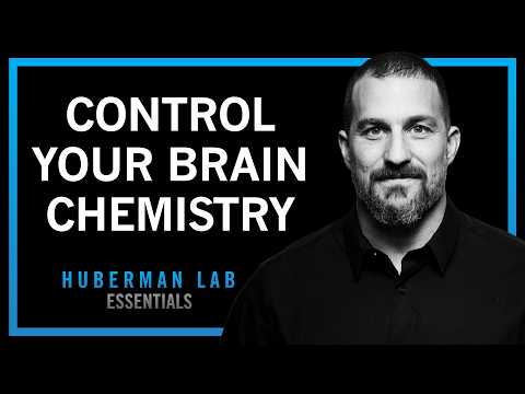 Control Your Brain Chemistry for Focus, Motivation & Well-Being | Huberman Lab Essentials