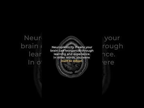 How Neuroplasticity Changes the Brain | Dr Joe Dispenza