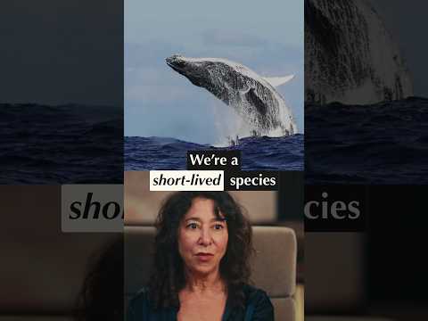 Could Whales Remember Us Long After We’re Gone? | Know Thyself #shorts